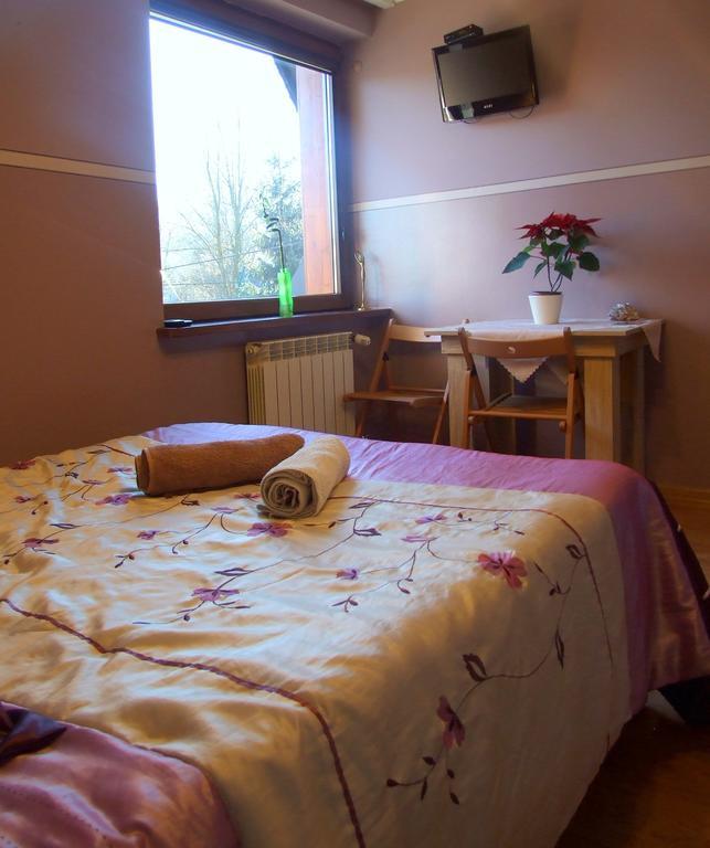 Homestay Srebrny Potok زاكوباني المظهر الخارجي الصورة