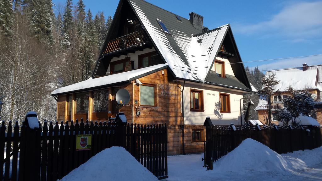Homestay Srebrny Potok زاكوباني المظهر الخارجي الصورة