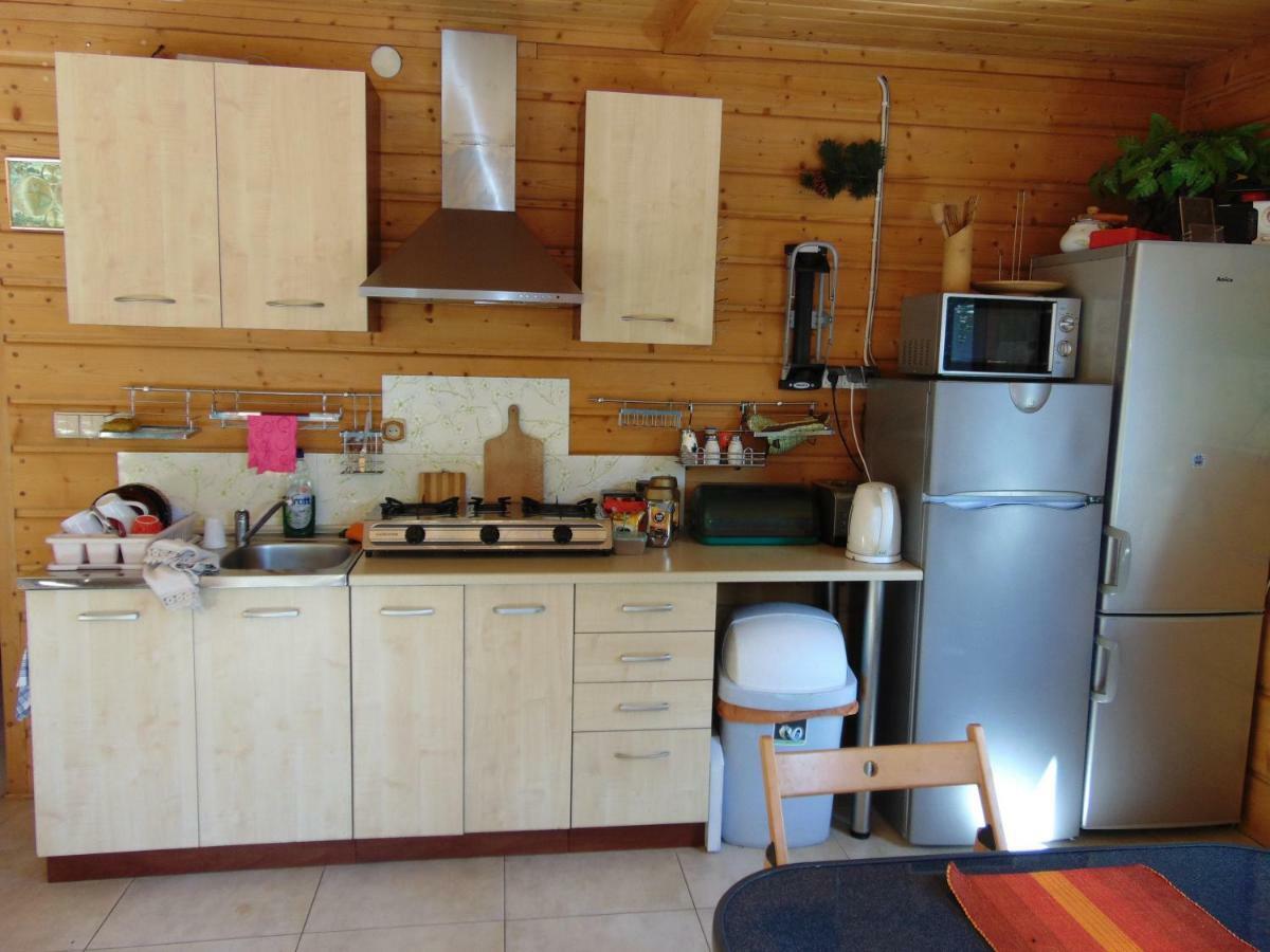 Homestay Srebrny Potok زاكوباني المظهر الخارجي الصورة